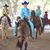 Wendy Rossi Tanzer's profile image