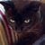 Chris Edwards's profile image
