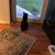 Pam Rawles's profile image