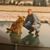 Moni Wendt's profile image