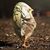 Cinda Collins's profile image