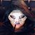 Rachel Miller's profile image