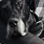 Rhonda Ceska's profile image