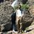 David Greenberger's profile image
