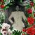 Almirah Norgrove-Harris's profile image
