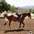 Michelle Morreale's profile image