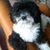 Emily Andros's profile image