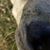 Lisa R Mealy's profile image