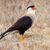 Lynda Watson's profile image