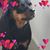 Maryann Mazza's profile image