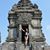 Martina Omodeo Zorini's profile image