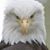 John Mohr's profile image