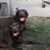 Betty Trueg's profile image