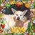 Robin Chassie Willoughby's profile image
