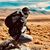 Brian Larrosa's profile image