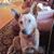 Arlene Kohlwey's profile image