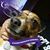 Michelle Starks Cross's profile image