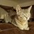 Brooke Schlottke's profile image