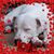 Garee Nace's profile image