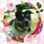 Rose Mitman's profile image