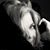 Jenny Ballew Wiltse's profile image