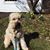 Christine Carlson's profile image