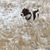 Lynn Utterback's profile image