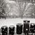 Sherri Brindley's profile image