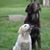 Kathy Bailey Trammel's profile image