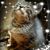 Michelle Lynn Oliver's profile image