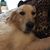 Sharon Maples's profile image