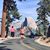 Melissa Wilkinson's profile image