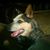 David Druschel Sr.'s profile image