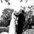 Jennifer N Tommy Karasoulis's profile image