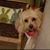 Deborah DiLeo Windisch's profile image