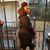 Kayla Williams's profile image