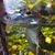 Kathi Black's profile image