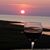 Rita Wise Mattheu's profile image