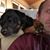 Shane Bethke's profile image