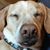 Ann Ranlett's profile image