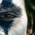 Leo Perez's profile image