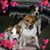 Jenny Golden's profile image