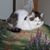 Nancy Schettner's profile image