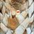 Kathy M. Contor's profile image