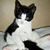 Lisa DePreta's profile image