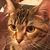 Margaret Manley's profile image