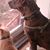 Casey Joette Kelley's profile image