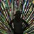 Sharon DeHaas Makler's profile image