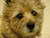 Lorraine D.'s profile image