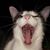 Gloria Garcia's profile image